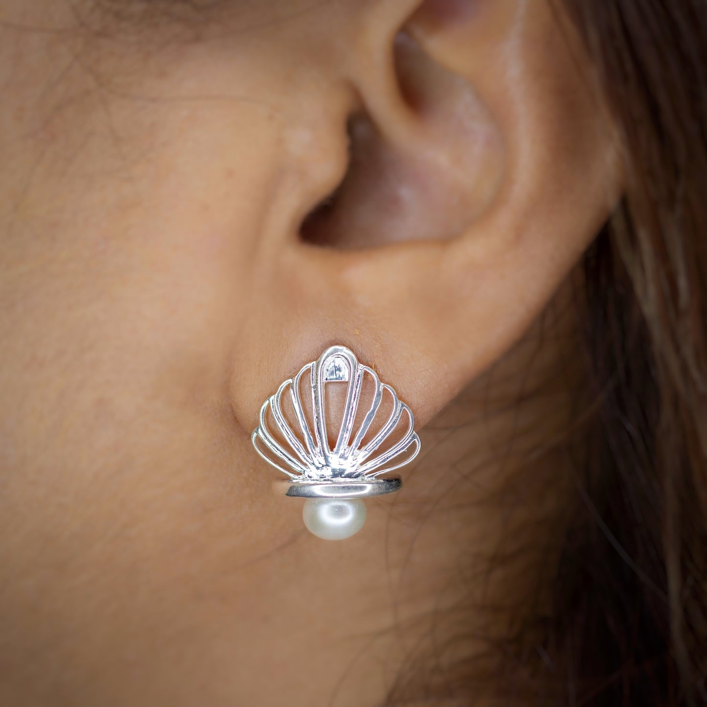 Shell studs