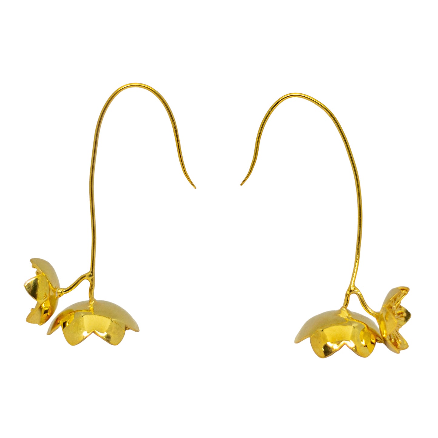 Daffodil Hoops