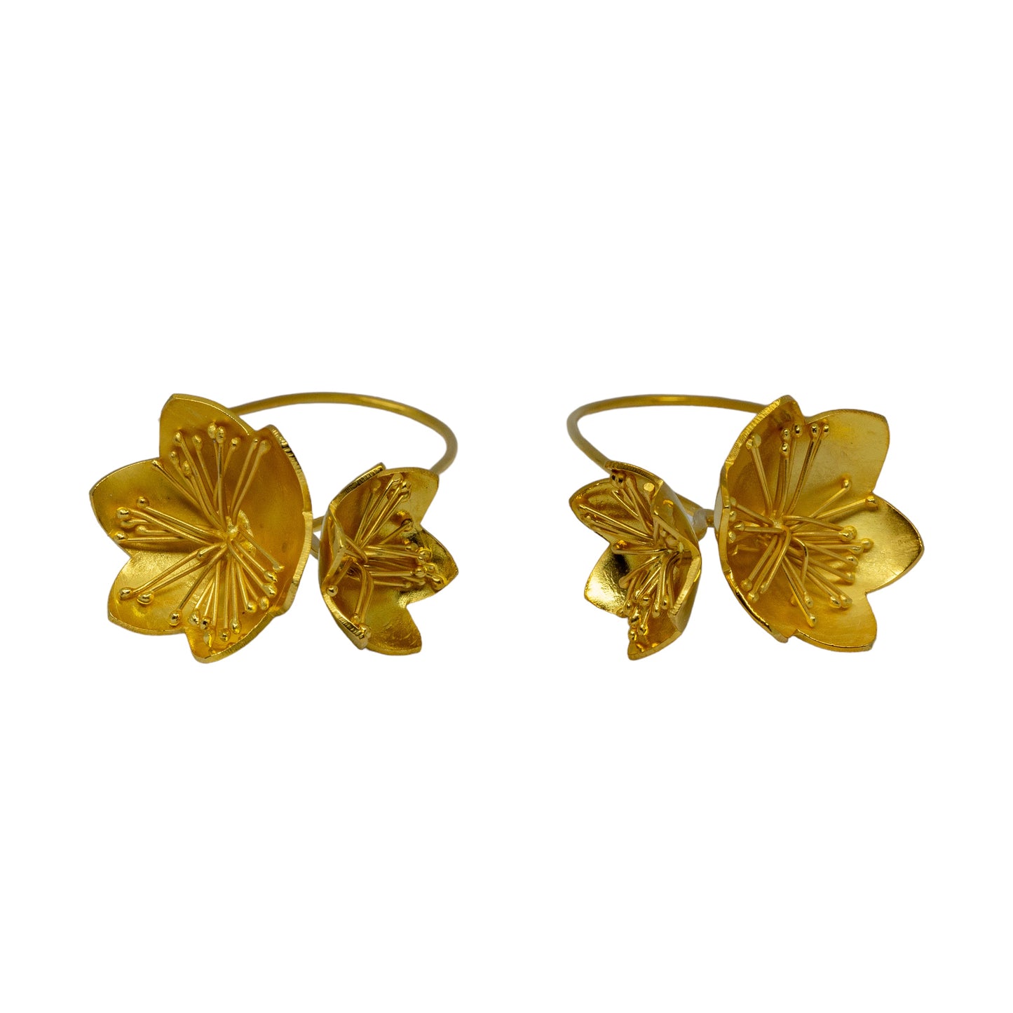 Daffodil Hoops