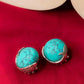 Turquoise Fish Studs