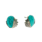 Turquoise Fish Studs